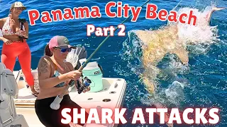 HOT Inshore & Offshore Fishing Panama City Beach | Awesome Top Water Action