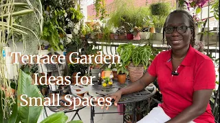 Get Plant Styling Ideas for Small Spaces from This Exquisite Terrace Garden Tour