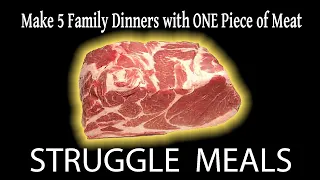 MUST MAKE 5 Family Dinners with ONE Piece of $7.00 Meat - The Struggle is REAL