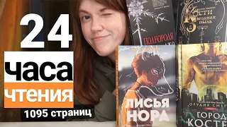 24 ЧАСА ЧТЕНИЯ⭐ПРОЧИТАНО 1095 СТРАНИЦ! ЛИСЬЯ НОРА, ГОРОД КОСТЕЙ, ПОЛКОРОЛЯ, КОСТИ И ЗВЕЗДНАЯ ПЫЛЬ