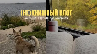 поезд, ночёвка в машине, неделю без душа😱 (не)книжный влог