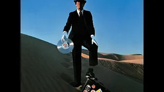 Pink Floyd - Shine On You Crazy Diamond (Part VIII)