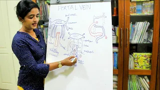 DEVELOPMENT OF THE PORTAL VEIN-EMBRYOLOGY-DR ROSE JOSE MD