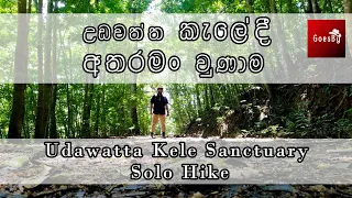 උඩවත්ත කැලේදී අතරමං වුණාම 😱  | Udawatta Kele Sanctuary Solo Hike