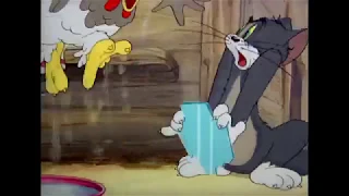 Tom and Jerry - Fine feathered friend  (Best moments)