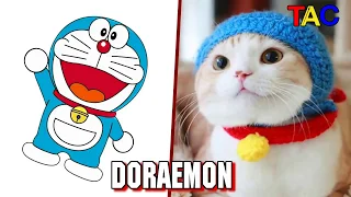 Doraemon All Characters In Real Life funny video 2018