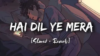 Hai Dil Ye Mera Lofi Song {slowed + reverb} || love song 2024 || love songs || lofi songs