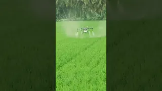 Agri Drone Sprayer      . #agriculture #agridrone #agritech #drone #modrenfarming #paddy #spray