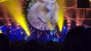 Brit Floyd Pensacola 6/1/23 What Do You Want From Me