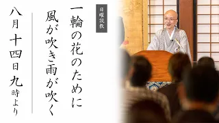 【日曜説教：令和4年8月】一輪の花のために風が吹き雨が吹く ｜  臨済宗円覚寺派管長 横田南嶺老師