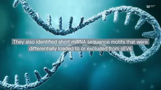 Differential RNA packaging into small extracellular vesicles by neurons and astrocytes