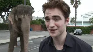 Robert Pattinson Answers Your Questions About "Water For Elephants"