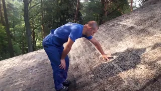 How quickly to clean the roof of the moss?