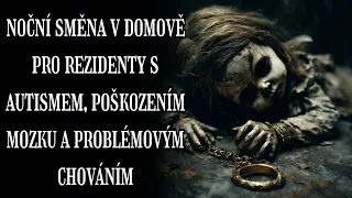 NOČNÍ SMĚNA V PEČOVATELSKÉM DOMĚ - CREEPYPASTA (CZ)