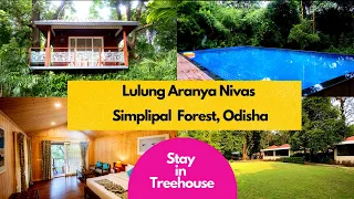 Simlipal Forest | Lulung Aranya Niwas | Stay inside Forest | Forest Safari