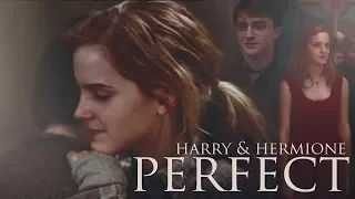 Perfect | Harry & Hermione