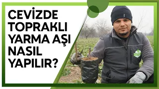 Topraklı Yarma Aşının Püf Noktaları Nelerdir?