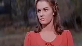 Western Movies The Little Shepherd of Kingdom Come 1961 Full movie