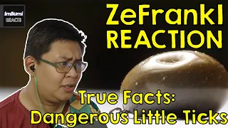 True Facts: Dangerous Little Ticks | zefrank1 | ImBumi Reaction