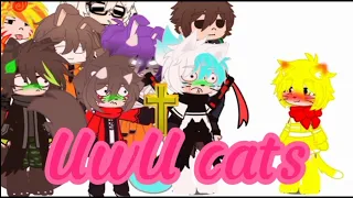 Meus personagens conhecendo um UwU cats