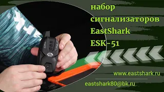 Набор сигнализаторов с пейджером EastShark ESK-51 (4+1)
