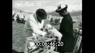 1973г. Чон- Алайский район Ошская обл Киргизия