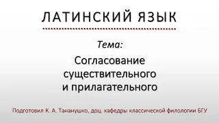 Латинский язык. Lingua Latina. Согласование существительного и прилагательного