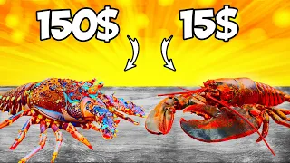 Lobster vs Spiny Lobster - What Is More Tasty?