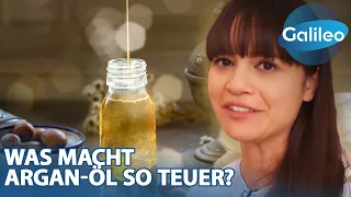 200€ pro Liter: Die Geheimnisse hinter dem teuren Argan-Öl