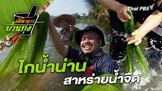 ไกน้ำน่าน | ภัตตาคารบ้านทุ่ง