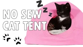 DIY No Sew Cat Tent from a T-Shirt and a Wire Hanger | T-shirt.ca