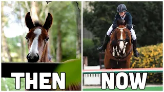 From FOAL to GRAND PRIX // Khal's 8 YEAR TRANSFORMATION