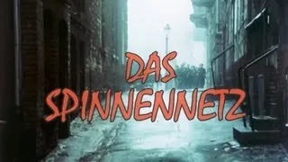 Bernhard Wicki: DAS SPINNENNETZ - auf DVD! (ähnl. Der Schrei nach Leben, Martin Gray, Holocaust)