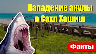 🇪🇬 Египет 2022: Нападение 🦈 акулы в Сахл Хашиш! Двое погибших! Что известно на данный момент?