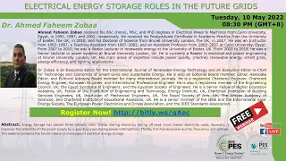 Electrical Energy Storage Roles in the Future Grids