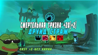 Смертельная Тризна +20(+2) Страж Друид | The Necrotic Wake +20 Guardian Druid | World of Warcraft