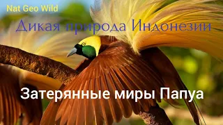 Nat Geo Wild.Дикая природа Индонезии.Потерянные миры Папуа.