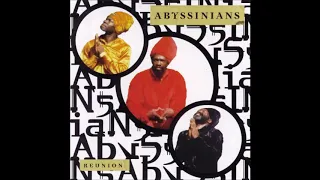 Abyssinians - Reunion