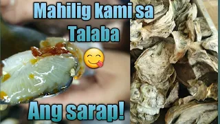 Talaba (Oyster) ng Zamboanga Sibugay | Iba talaga kapag fresh