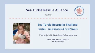 Sea turtle Rescue in Thailand - By Dr Watchara Sakornwimon (Thai Translation)