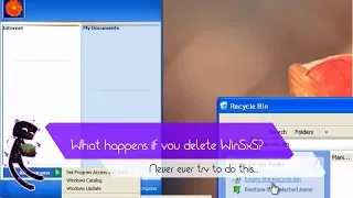 What happens if you delete WinSxS folder?