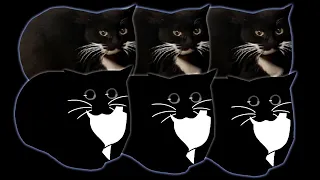 variations of Maxwell cat