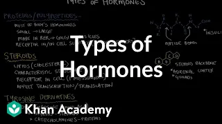 Types of hormones | Endocrine system physiology | NCLEX-RN | Khan Academy