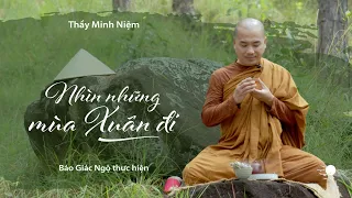 Thầy Thích Minh Niệm với pháp thoại Xuân Quý Mão 2023: "Nhìn những mùa Xuân đi"