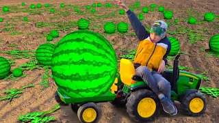 Damian and Darius Ride on Tractor farmer Outdoor Activities They Pick Watermelons