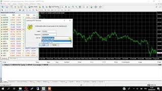 cara masuk/login akun mt4  pada pc laptop