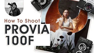 Why You Need To Shoot Provia With Flash Outdoors