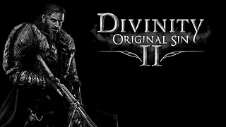 divinity: original sin 2 # горящая ведьма