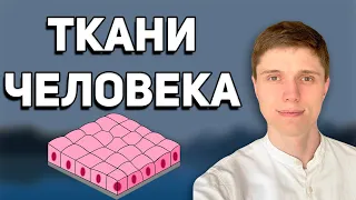 Ткани человека | Биология ЕГЭ и ОГЭ на 100 баллов