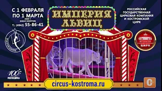 Цирк Кострома